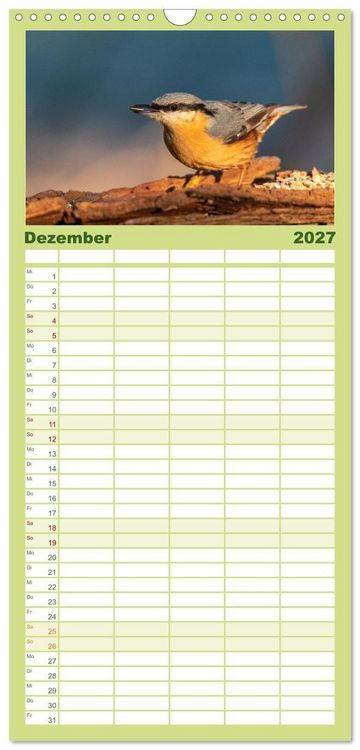 Produktbild: Familienplaner 2027 - Der Kernbei&szlig;er und seine gefiederten Gesellen mit 5 Spalten (Wandkalender, 21 x 45 cm) CALVENDO