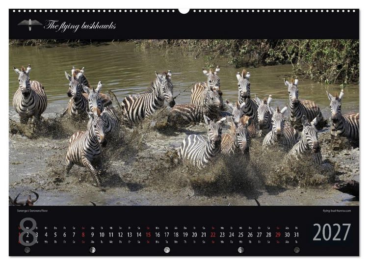 Produktbild: Tansania Blickwinkel 2027 (Wandkalender 2027 DIN A2 quer), CALVENDO Monatskalender