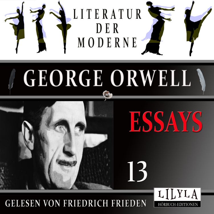 Produktbild: Essays 13