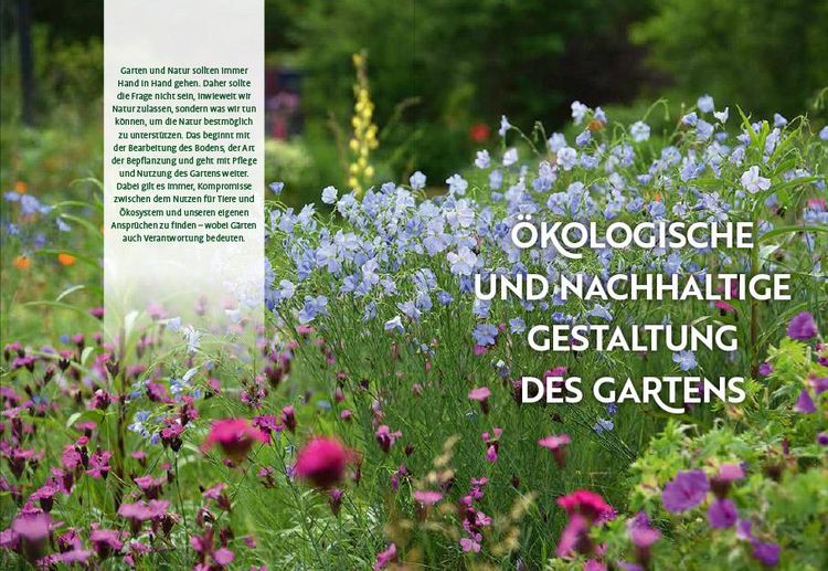 Produktbild: Echte Hitzeprofis