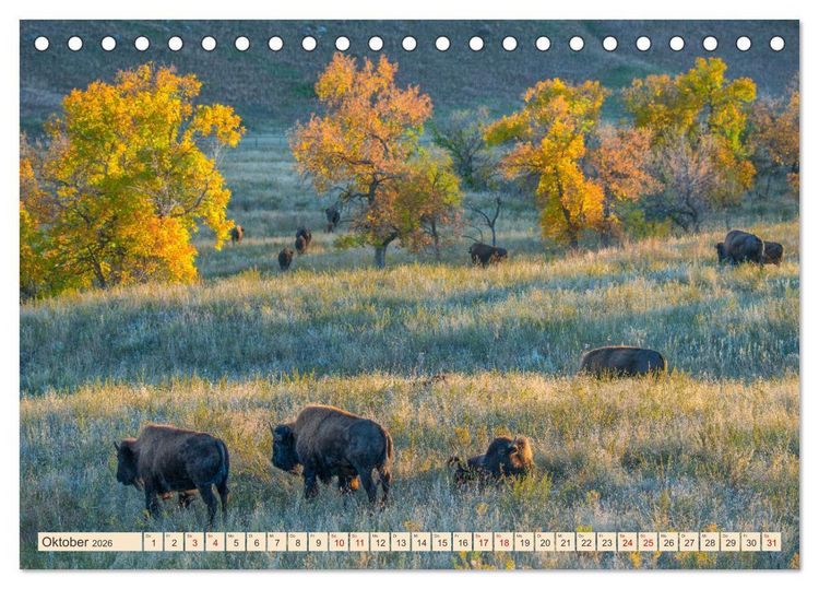Produktbild: Sioux Im Lande von Sitting Bull (Tischkalender 2026 DIN A5 quer), CALVENDO Monatskalender