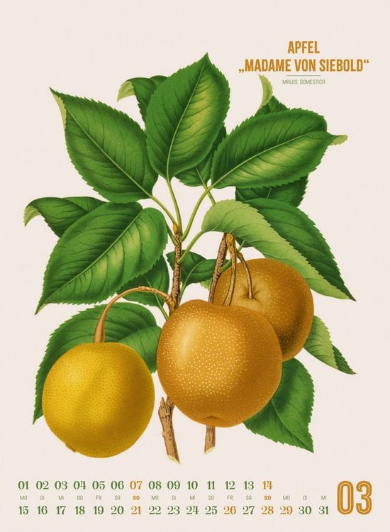 Produktbild: Obstgarten Kalender 2027 | Apfel, Birne, Pflaume & Co.