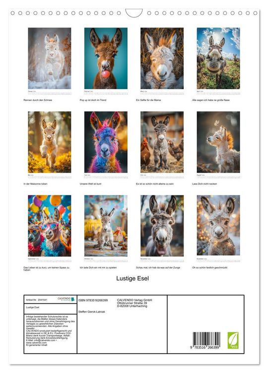 Produktbild: Lustige Esel (Wandkalender 2026 DIN A3 hoch), CALVENDO Monatskalender