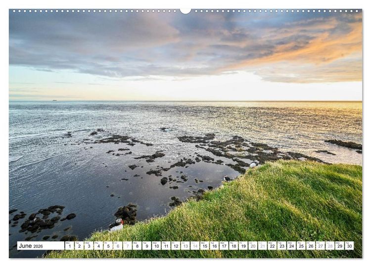 Produktbild: Puffins in Iceland (High Quality Premium Wall Calendar 2026 DIN A2 landscape),CALVENDO 12 Month Wall Calendar