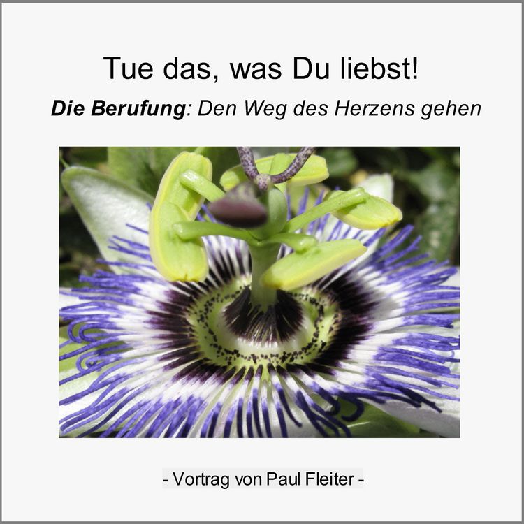 Produktbild: Tue das, was Du liebst!