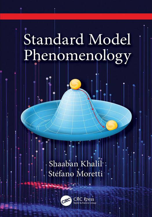 Produktbild: Standard Model Phenomenology