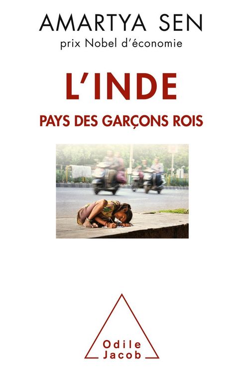 Produktbild: L' Inde, pays des garcons rois