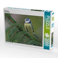 Produktbild: CALVENDO Puzzle Blaumeise 2000 Teile Lege-Gr&ouml;&szlig;e 90 x 67 cm Foto-Puzzle Bild von Dieter-M. Wilczek