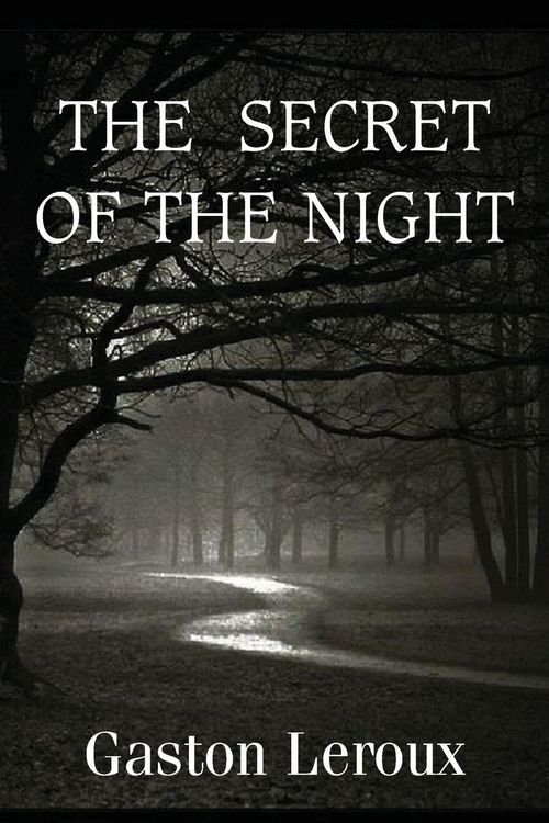 Produktbild: The Secret of the Night