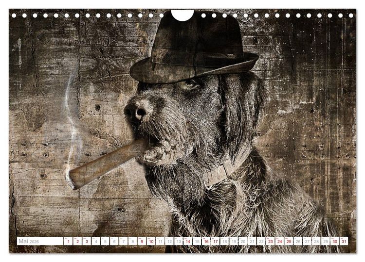 Produktbild: Hund tr&auml;gt Hut (Wandkalender 2026 DIN A4 quer), CALVENDO Monatskalender