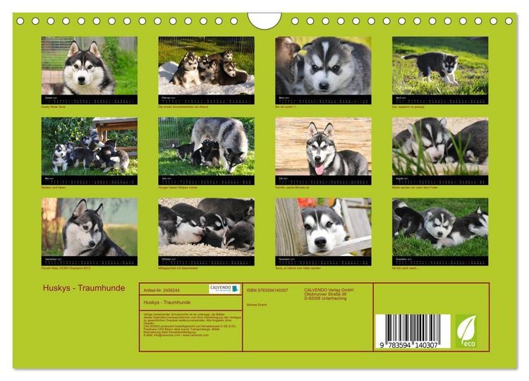 Produktbild: Huskys - Traumhunde (Wandkalender 2027 DIN A4 quer), CALVENDO Monatskalender
