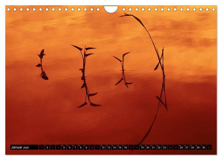Produktbild: Landart - Kunst aus der Natur (Wandkalender 2026 DIN A4 quer), CALVENDO Monatskalender