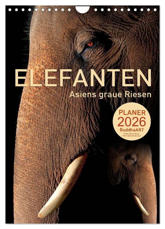 Produktbild: ELEFANTEN - Asiens graue Riesen (Wandkalender 2026 DIN A4 hoch), CALVENDO Monatskalender
