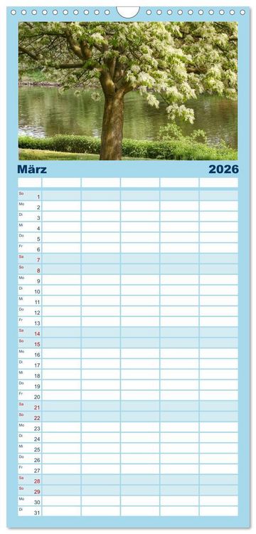 Produktbild: Familienplaner 2026 - B&auml;ume, der Atem der Natur mit 5 Spalten (Wandkalender, 21 x 45 cm) CALVENDO