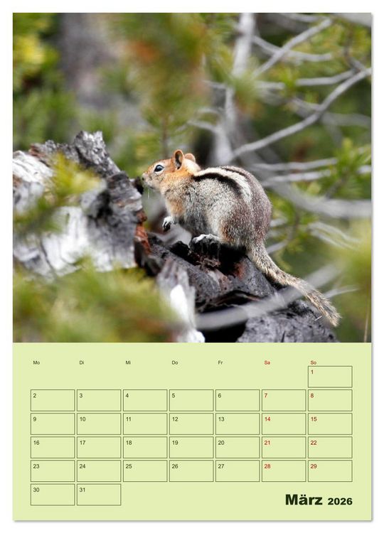 Produktbild: H&ouml;rnchen aus aller Welt (Wandkalender 2026 DIN A3 hoch), CALVENDO Monatskalender