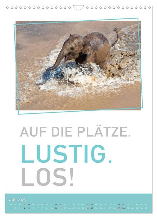 Produktbild: Tierisch bekloppt! (Wandkalender 2026 DIN A3 hoch), CALVENDO Monatskalender