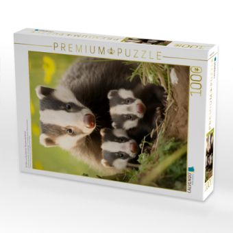Produktbild: CALVENDO Puzzle Ein Motiv aus dem Kalender "Bezaubernde Dachse" | 1000 Teile Lege-Gr&ouml;&szlig;e 64x48cm Foto-Puzzle f&uuml;r gl&uuml;ckliche Stunden