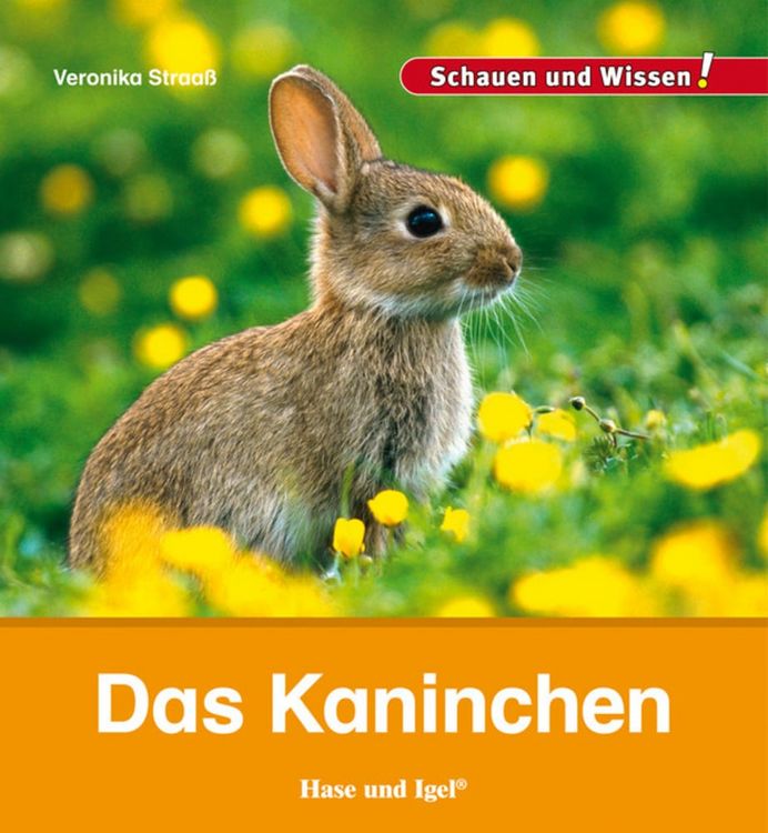 Produktbild: Das Kaninchen