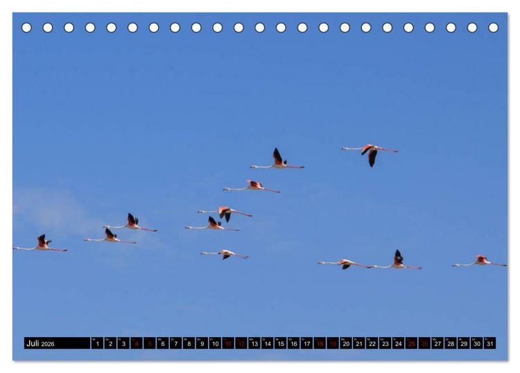 Produktbild: Faszination Sardinien (Tischkalender 2026 DIN A5 quer), CALVENDO Monatskalender