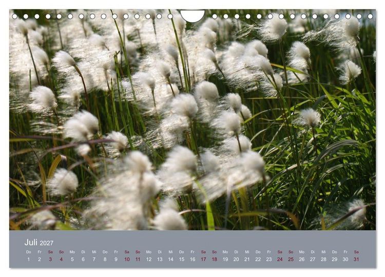 Produktbild: Kamtschatka - Vulkane, Asche, Eis (Wandkalender 2027 DIN A4 quer), CALVENDO Monatskalender