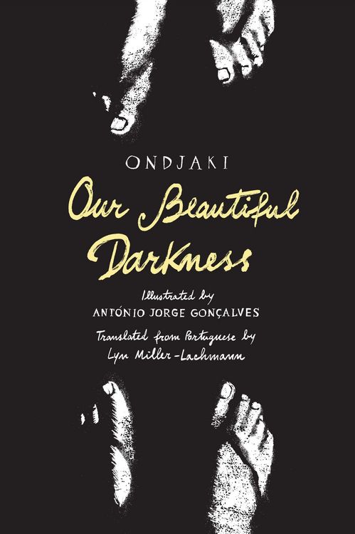 Produktbild: Our Beautiful Darkness