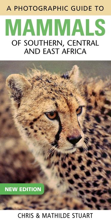 Produktbild: Photographic Guide to Mammals of Southern, Central and East Africa