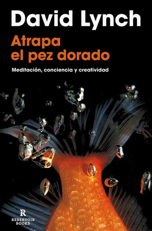 Produktbild: Atrapa El Pez Dorado / Catching the Big Fish