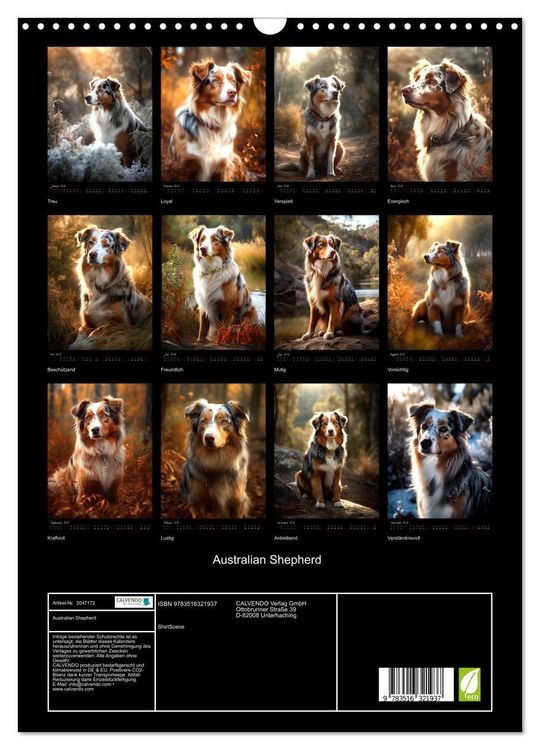 Produktbild: Australian Shepherd (Wandkalender 2026 DIN A3 hoch), CALVENDO Monatskalender