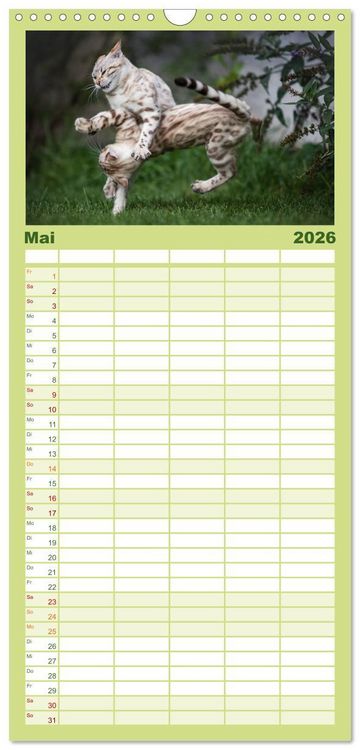 Produktbild: Familienplaner 2026 - Bengalen Outdoor und Action mit 5 Spalten (Wandkalender, 21 x 45 cm) CALVENDO