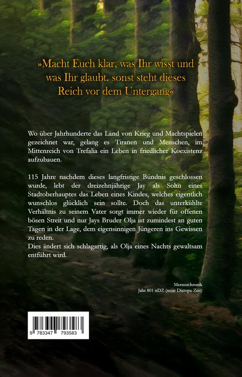 Produktbild: Die Schatten von Mernor