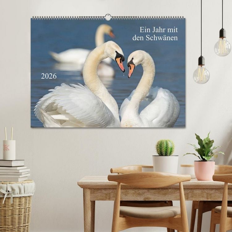 Produktbild: Ein Jahr mit den Schw&auml;nen (Wandkalender 2026 DIN A2 quer), CALVENDO Monatskalender