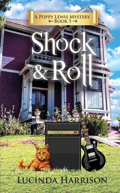 Produktbild: Shock & Roll