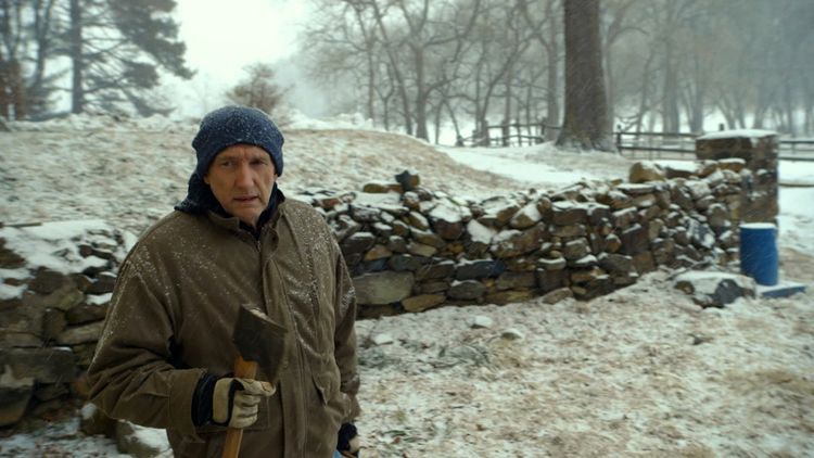 Produktbild: The Visit