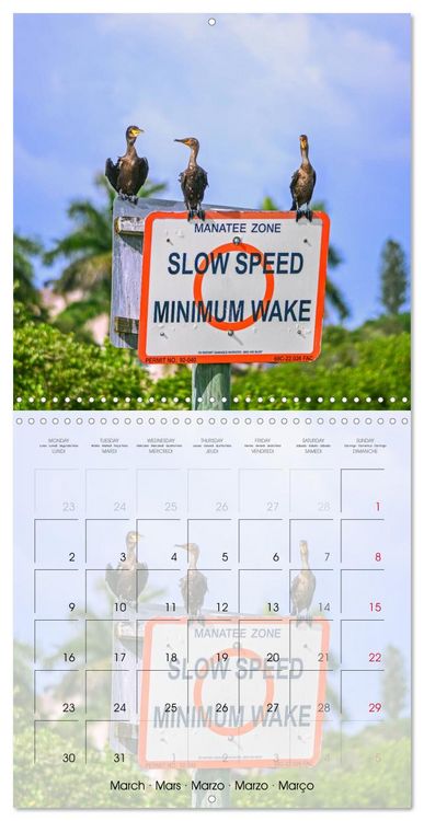 Produktbild: Florida &ndash; Discoveries in the Sunshine State (Wall Calendar 2026 12 &times; 12 Inch) CALVENDO 12 Month Wall Calendar