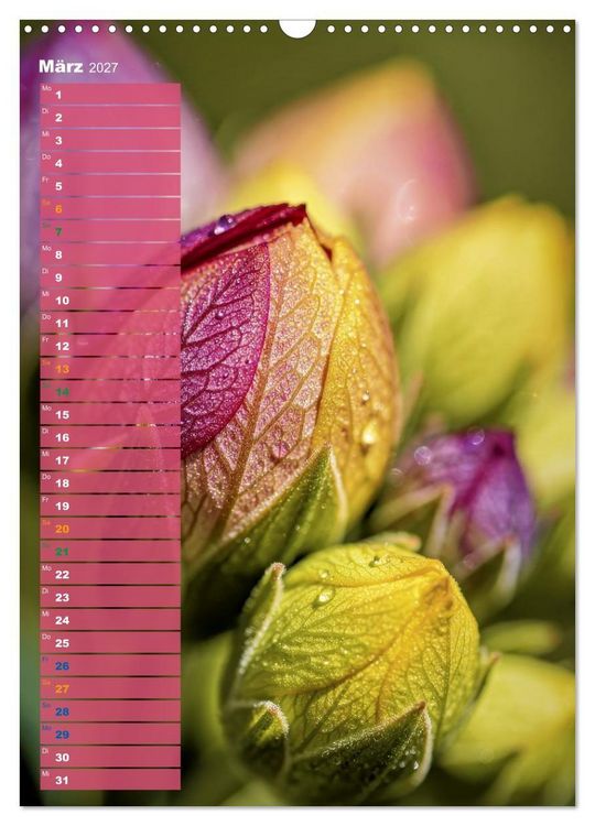 Produktbild: Bunte Farben der Natur (Wandkalender 2027 DIN A3 hoch), CALVENDO Monatskalender