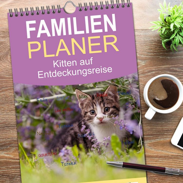 Produktbild: Familienplaner 2026 - Kitten auf Entdeckungsreise mit 5 Spalten (Wandkalender, 21 x 45 cm) CALVENDO