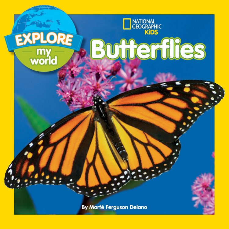 Produktbild: Explore My World: Butterflies