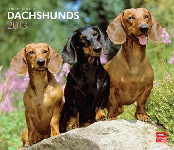 Produktbild: For the Love of Dachshunds 2013 Calendar