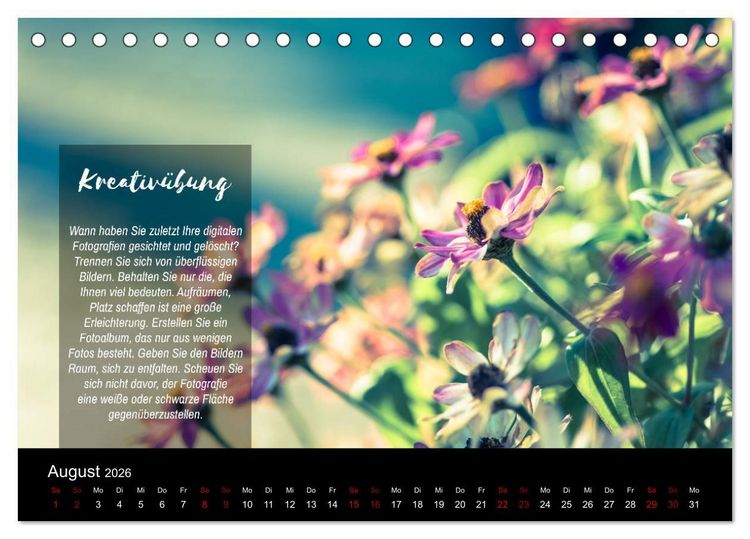 Produktbild: Die Sch&ouml;nheit der Natur - Naturfotografie-Kalender mit Foto- und Kreativ&uuml;bungen (Tischkalender 2026 DIN A5 quer), CALVENDO Monatskalender