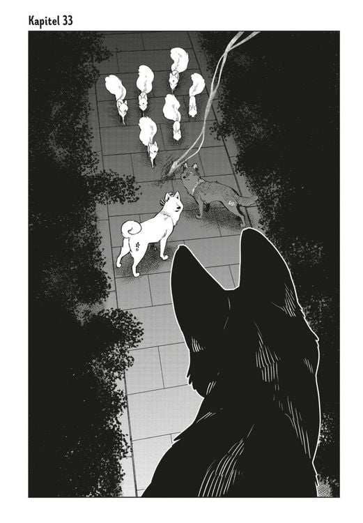 Produktbild: Der Fuchs und der kleine Tanuki 6