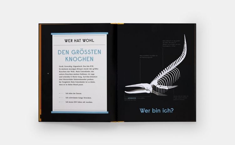 Produktbild: Das Buch der Knochen