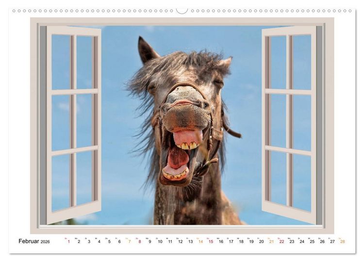 Produktbild: Fenstergucker - tierische Freunde an der Wand (Wandkalender 2026 DIN A2 quer), CALVENDO Monatskalender