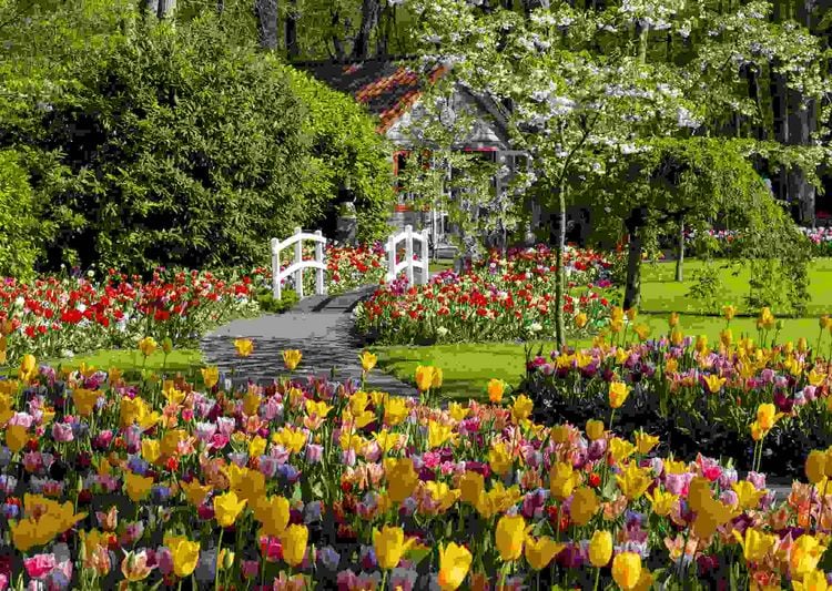 Produktbild: Erwachsenenpuzzle 1000 Teile - Keukenhof Gardens, Niederlande