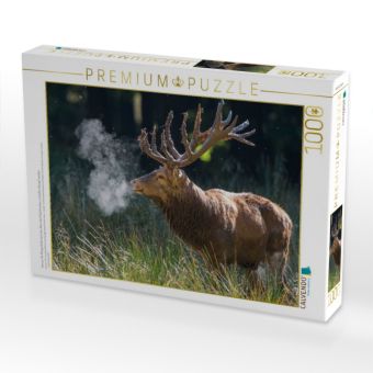 Produktbild: CALVENDO Puzzle Januar: Die Morgenk&auml;lte l&auml;sst den Atem des Platzhirschen zu hei&szlig;en Dampf werden. | 1000 Teile Lege-Gr&ouml;&szlig;e 64x48cm Foto-Puzzle f&uuml;r gl&uuml;ckliche Stunden
