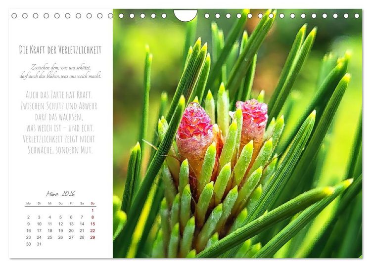 Produktbild: Was uns tr&auml;gt, wenn alles wankt. &Uuml;ber das Wachsen an Krisen (Wandkalender 2026 DIN A4 quer), CALVENDO Monatskalender