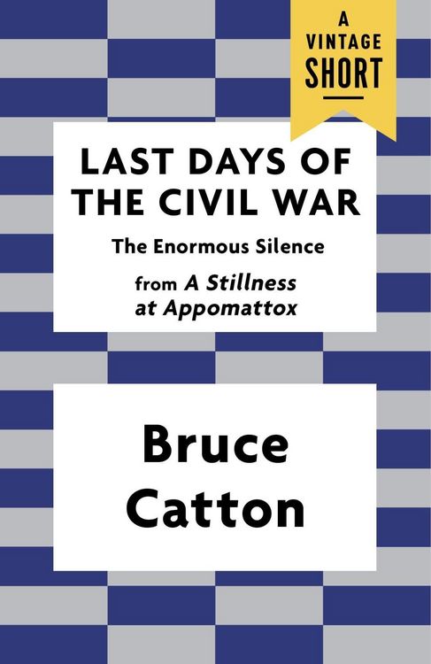 Produktbild: Last Days of the Civil War