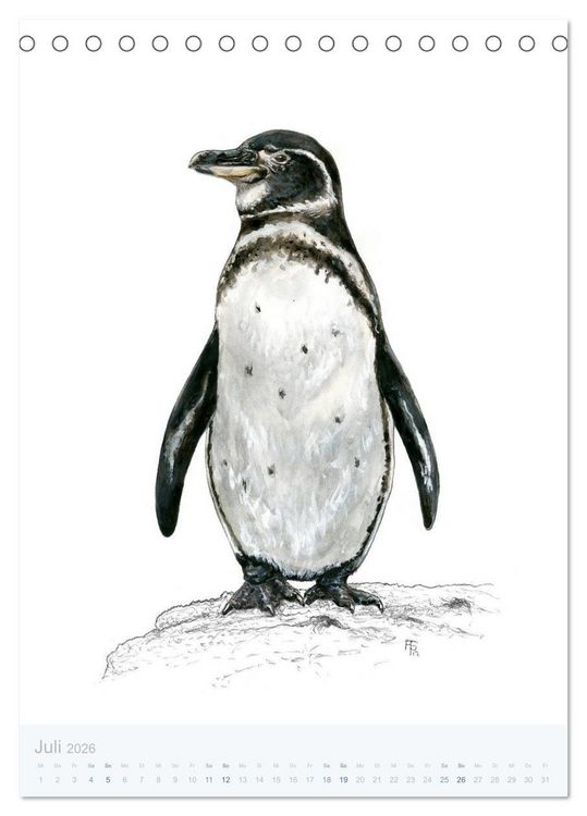 Produktbild: Pinguine - 13 Illustrationen (Tischkalender 2026 DIN A5 hoch), CALVENDO Monatskalender
