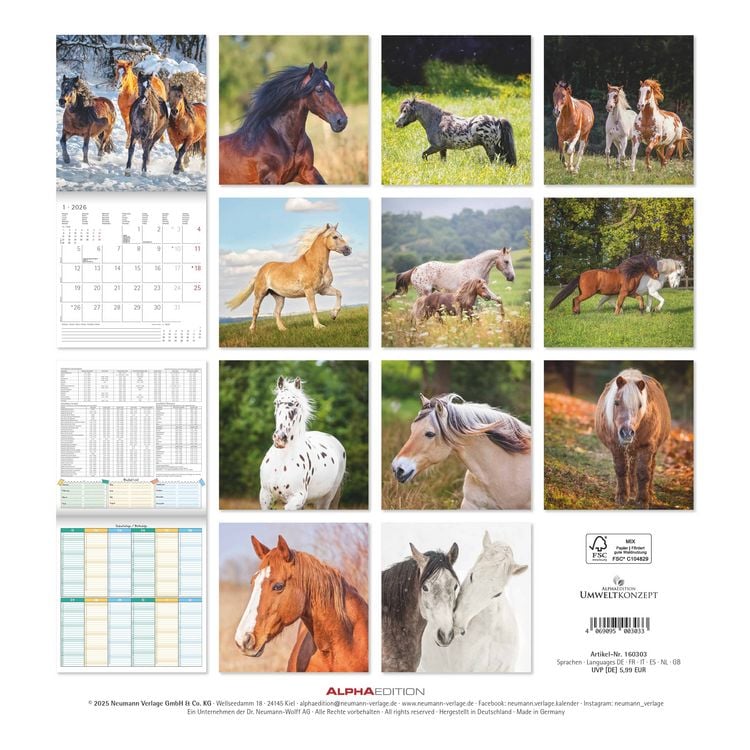 Produktbild: Pferde 2026 - Broschürenkalender 30x30 cm (30x60 geöffnet) - Kalender mit Platz für Notizen - Horses - Bildkalender - Wandplaner - Pferdekalender