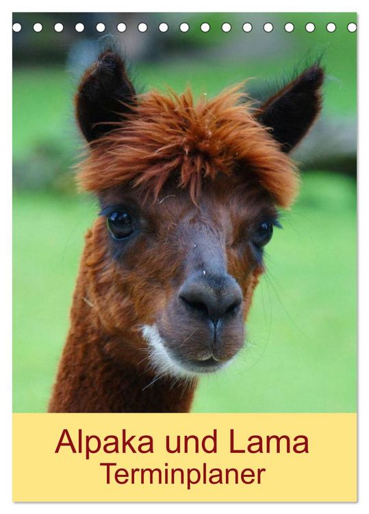 Produktbild: Alpaka und Lama Terminplaner (Tischkalender 2026 DIN A5 hoch), CALVENDO Monatskalender