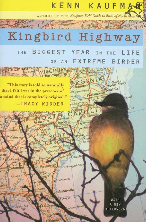 Produktbild: Kingbird Highway